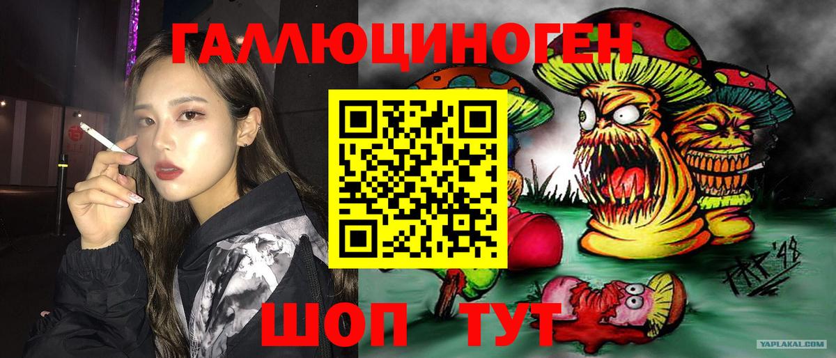 Галлюциногенные грибы Psilocybine cubensis Гуково